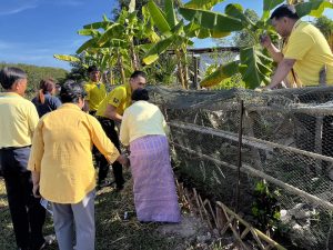 กิจกรรม วันดินโลก