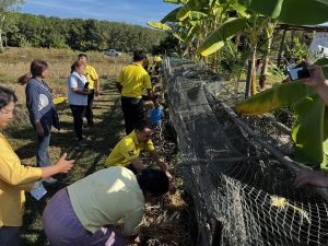 กิจกรรม วันดินโลก