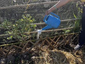 กิจกรรม วันดินโลก